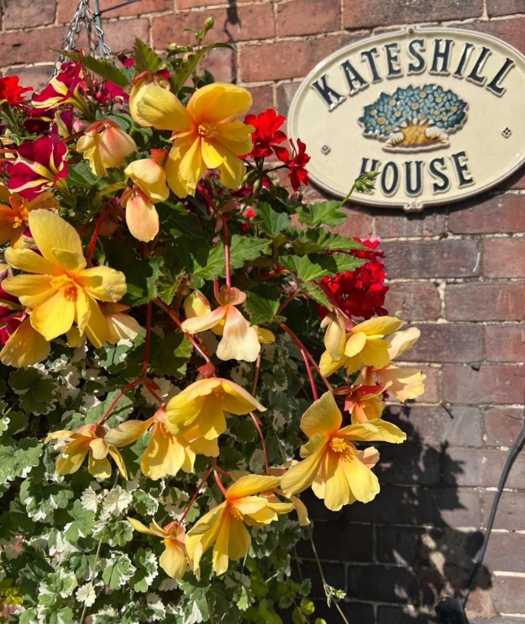 Kateshill House Bed & Breakfast 布由德利 外观 照片